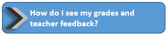 Grades and Feedback 